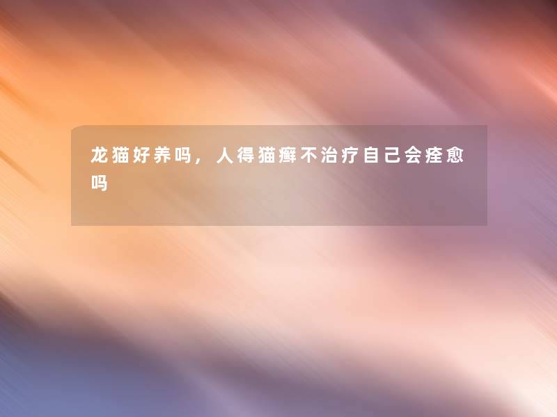 龙猫好养吗,人得猫癣不治疗自己会痊愈吗 龙猫好养吗,人得猫癣不治疗自己会痊愈吗