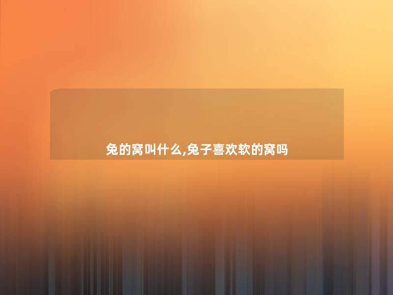 兔的窝叫什么,兔子喜欢软的窝吗 兔的窝叫什么,兔子喜欢软的窝吗