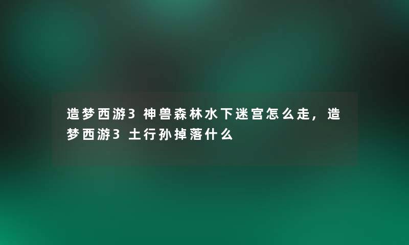 造梦西游3神兽森林水下迷宫怎么走,造梦西游3土行孙掉落什么