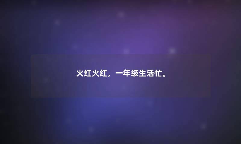 火红火红，一年级生活忙。