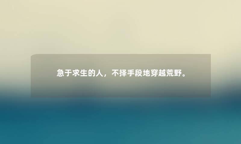 急于求生的人,不择手段地穿越荒野。 急于求生的人,不择手段地穿越荒野。