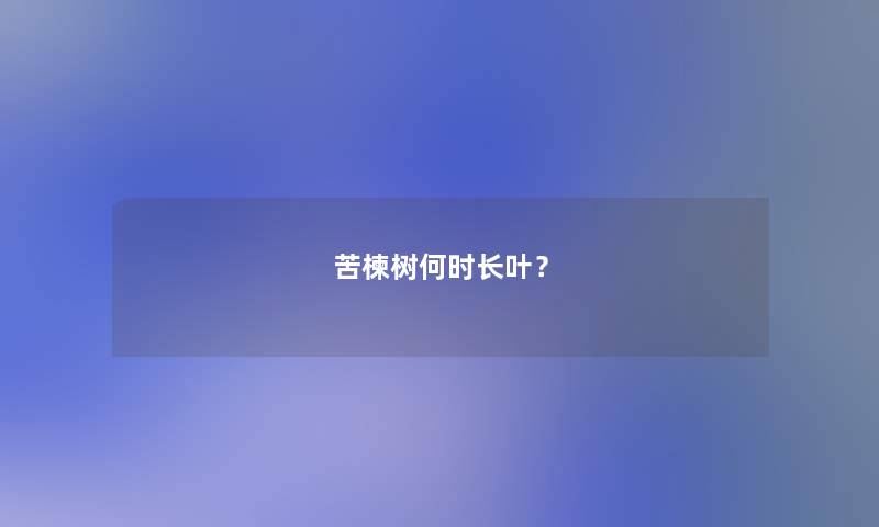 苦楝树何时长叶? 苦楝树何时长叶?