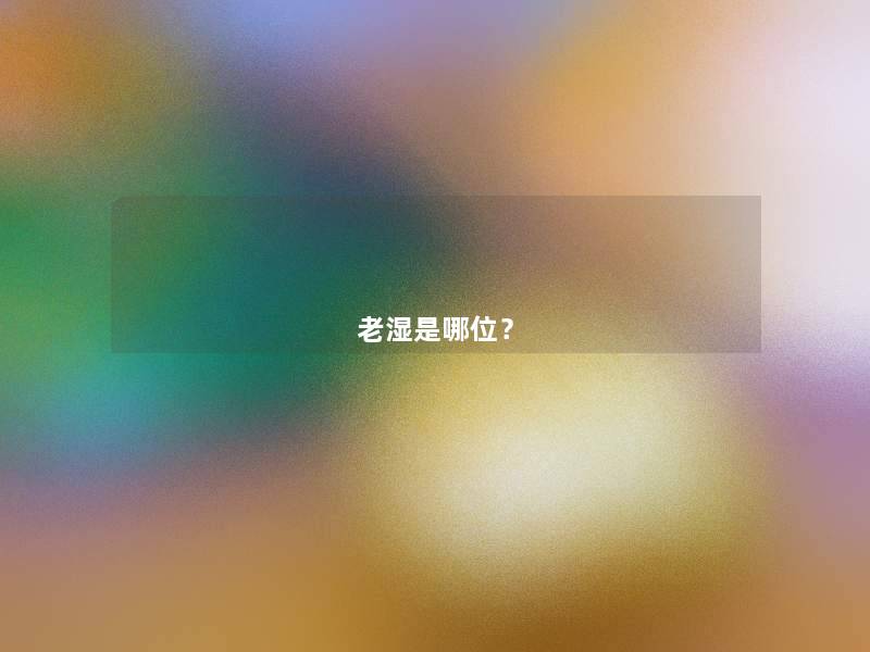 老湿是哪位? 老湿是哪位?