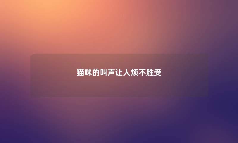 猫咪的叫声让人烦不胜受