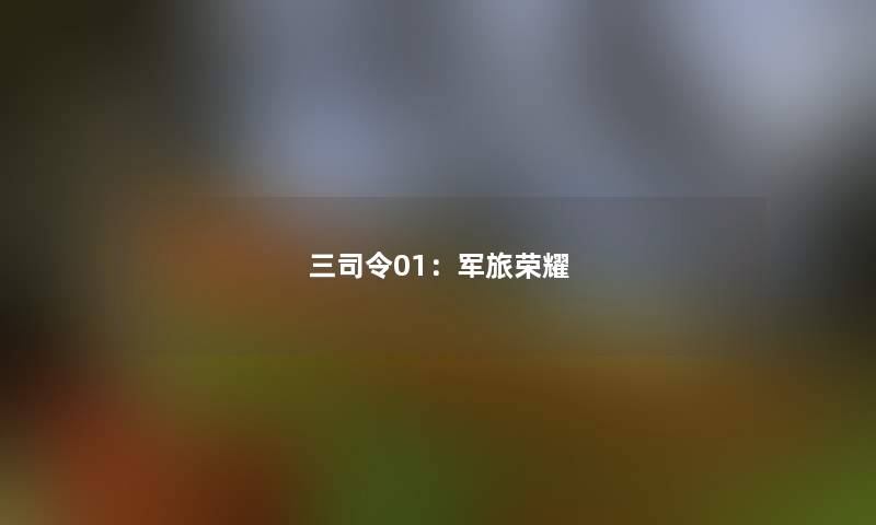 三司令01：军旅荣耀