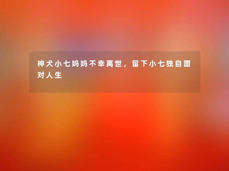 神犬小七妈妈不幸,留下小七独自面对人生 神犬小七妈妈不幸,留下小七独自面对人生