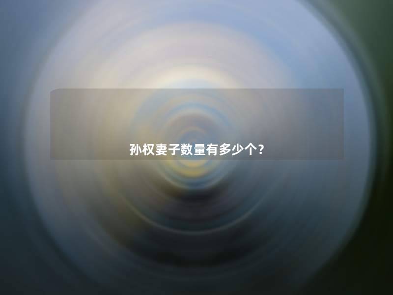 孙权妻子数量有多少个? 孙权妻子数量有多少个?