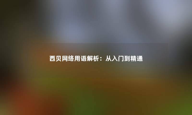 西贝网络用语解析：从入门到精通