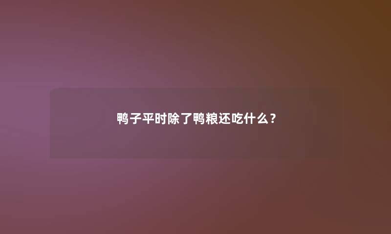 鸭子平时鸭粮还吃什么? 鸭子平时鸭粮还吃什么?