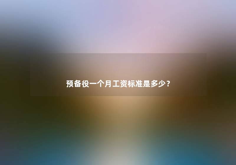 预备役一个月工资标准是多少？