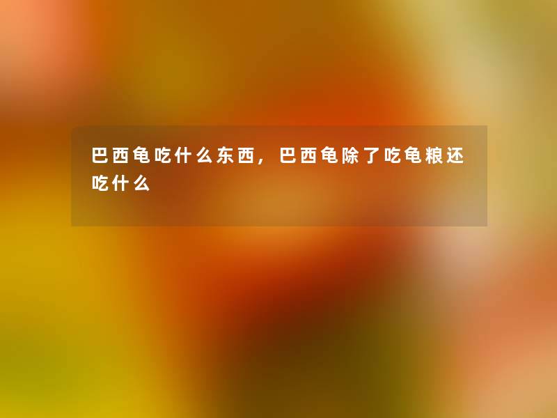 巴西龟吃什么东西,巴西龟除了吃龟粮还吃什么
