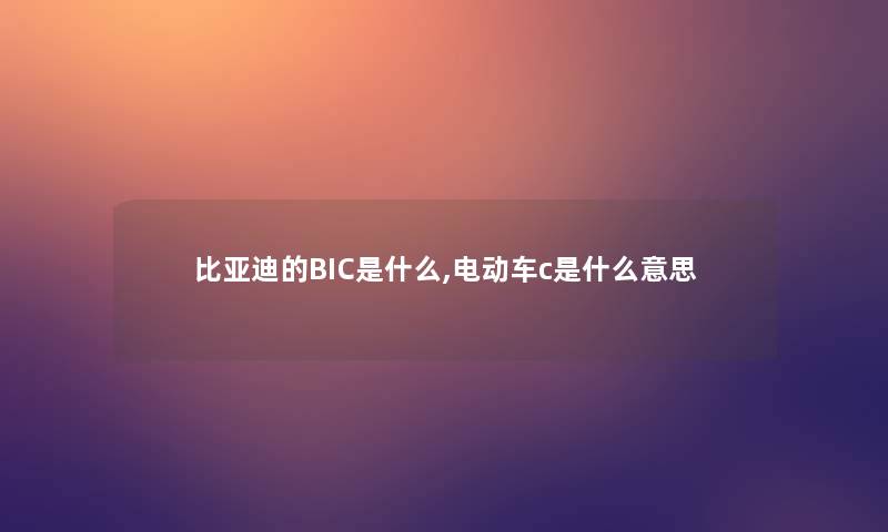 比亚迪的BIC是什么,电动车c是什么意思