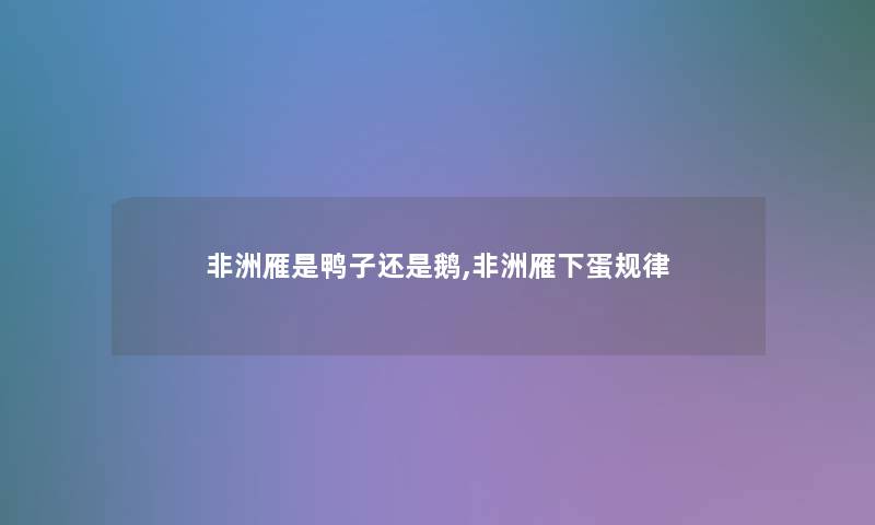 非洲雁是鸭子还是鹅,非洲雁下蛋规律 非洲雁是鸭子还是鹅,非洲雁下蛋规律