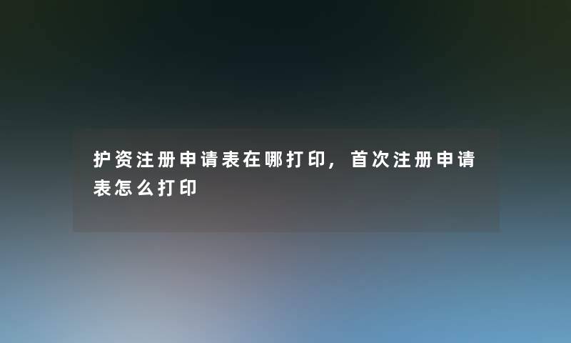 护资注册申请表在哪打印,首次注册申请表怎么打印