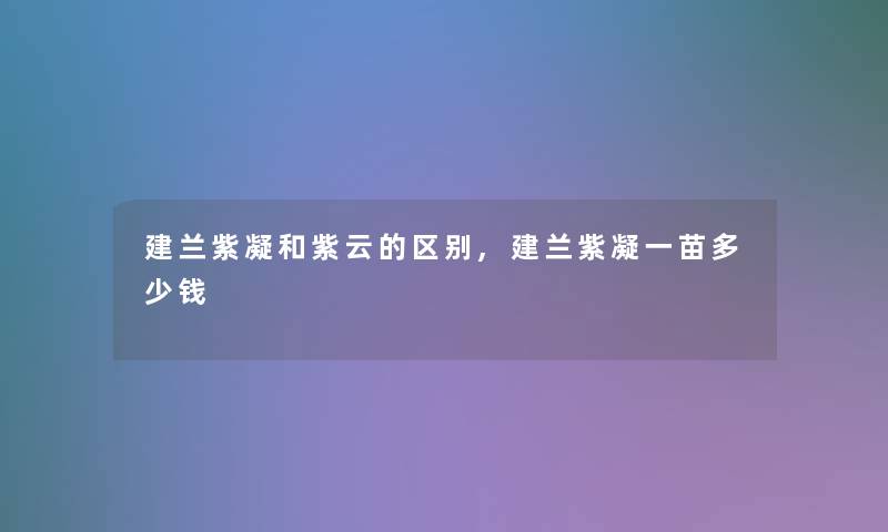 建兰紫凝和紫云的区别,建兰紫凝一苗多少钱