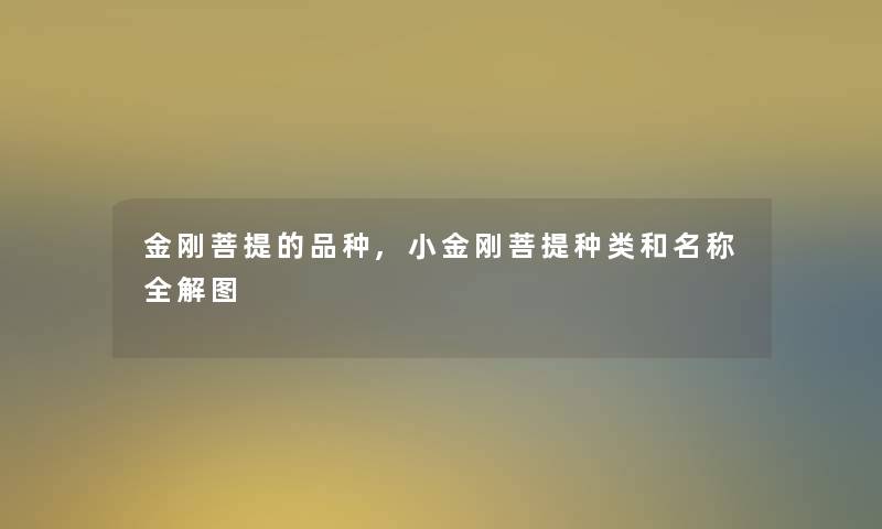金刚菩提的品种,小金刚菩提种类和名称全解图