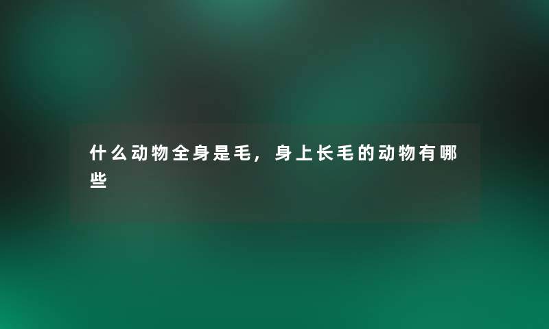 什么动物全身是毛,身上长毛的动物有哪些