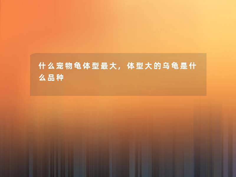 什么宠物龟体型大,体型大的乌龟是什么品种 什么宠物龟体型大,体型大的乌龟是什么品种
