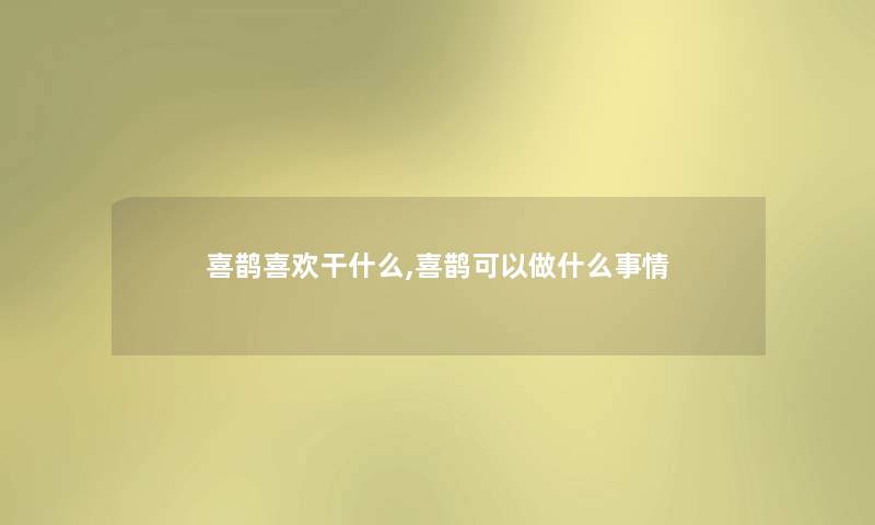 喜鹊喜欢干什么,喜鹊可以做什么事情