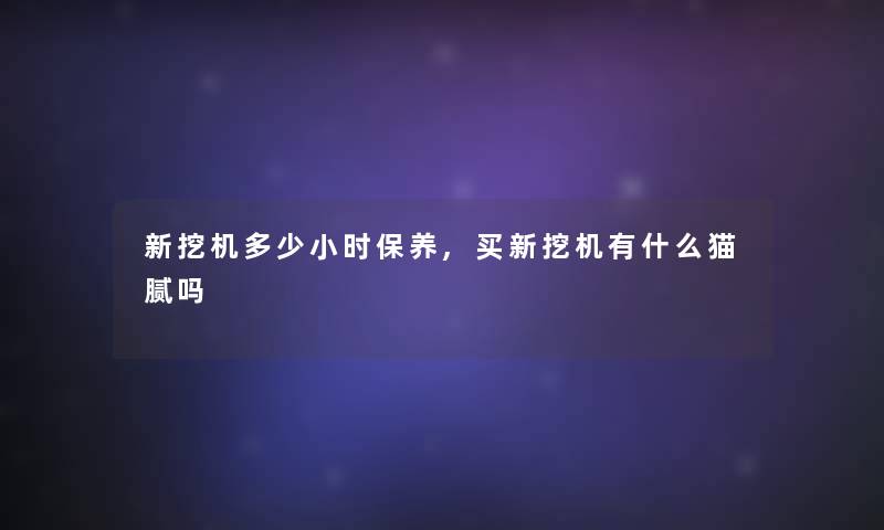 新挖机多少小时保养,买新挖机有什么猫腻吗 新挖机多少小时保养,买新挖机有什么猫腻吗