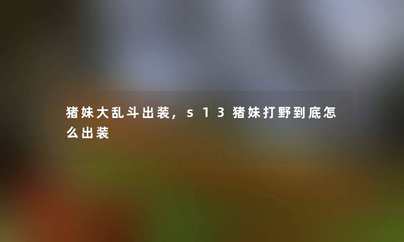 猪妹大乱斗出装,s13猪妹打野到底怎么出装
