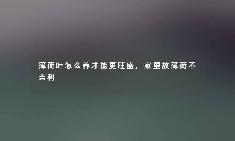 薄荷叶怎么养才能更旺盛,家里放薄荷不吉利