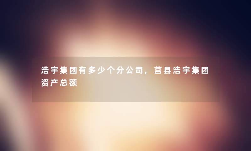 浩宇集团有多少个分公司,莒县浩宇集团资产总额 浩宇集团有多少个分公司,莒县浩宇集团资产总额