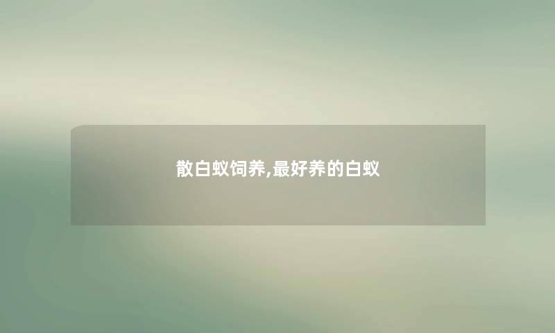 散白蚁饲养,好养的白蚁