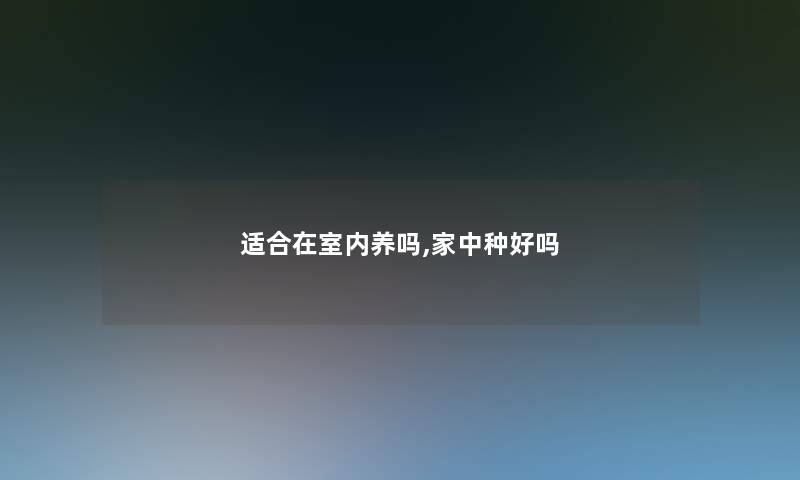 适合在室内养吗,家中种好吗 适合在室内养吗,家中种好吗