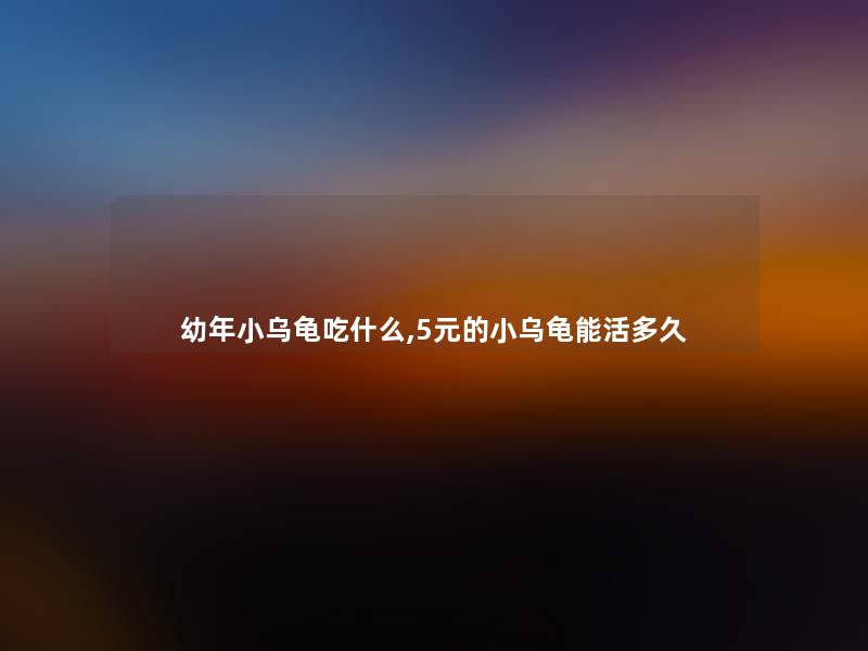 幼年小乌龟吃什么,5元的小乌龟能活多久