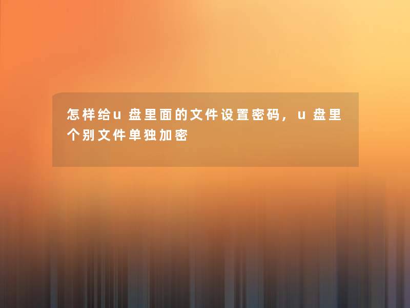 怎样给u盘里面的文件设置密码,u盘里个别文件单独加密