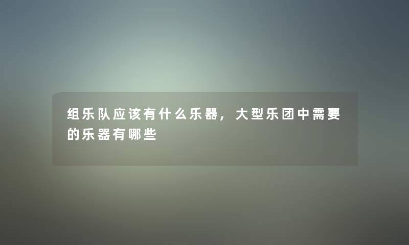 组乐队应该有什么乐器,大型乐团中需要的乐器有哪些