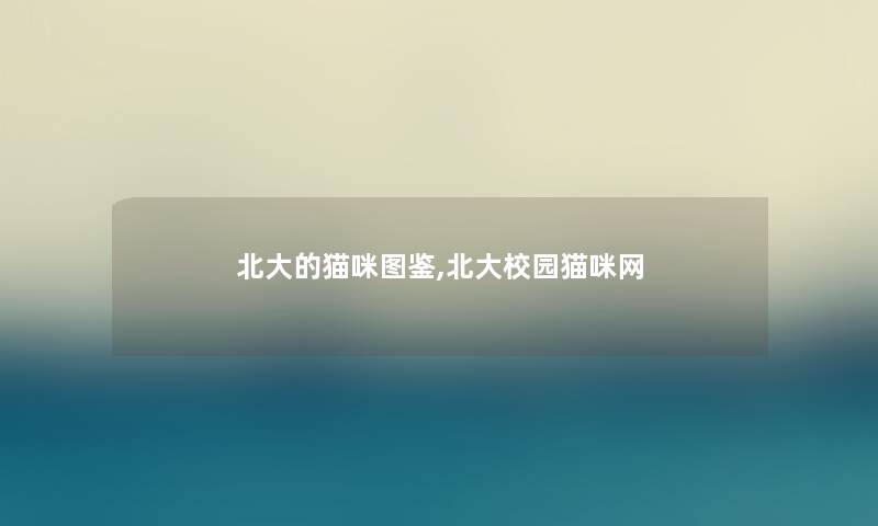 北大的猫咪讲解,北大校园猫咪网