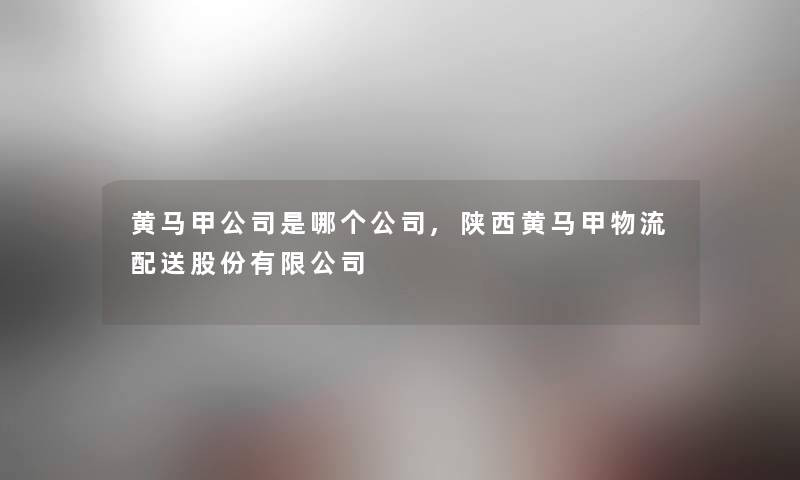 黄马甲公司是哪个公司,陕西黄马甲物流配送股份有限公司 黄马甲公司是哪个公司,陕西黄马甲物流配送股份有限公司