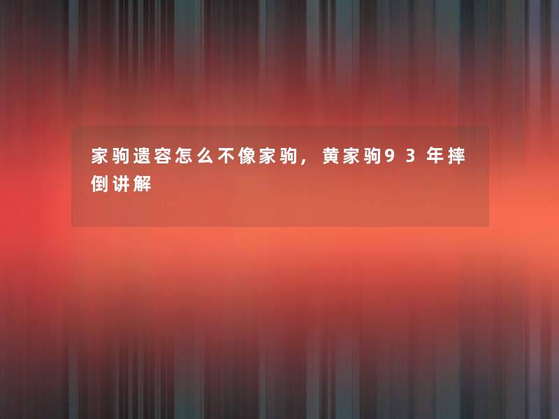 家驹遗容怎么不像家驹,黄家驹93年摔倒讲解
