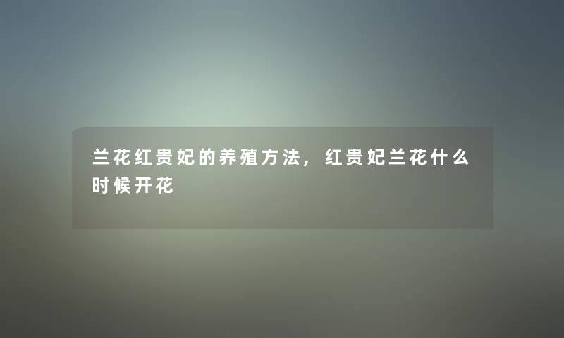 兰花红贵妃的养殖方法,红贵妃兰花什么时候开花