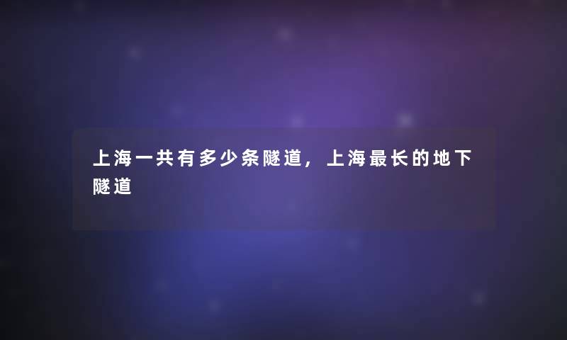 上海一共有多少条隧道,上海长的地下隧道