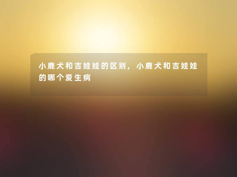 小鹿犬和吉娃娃的区别,小鹿犬和吉娃娃的哪个爱生病 小鹿犬和吉娃娃的区别,小鹿犬和吉娃娃的哪个爱生病