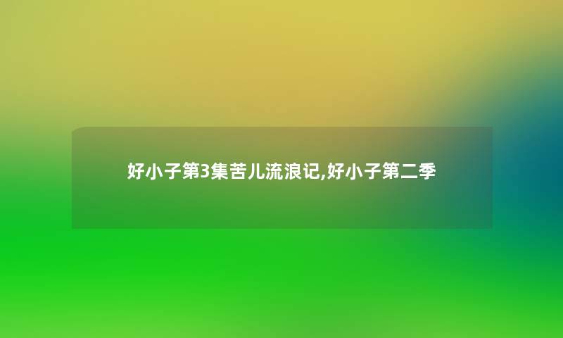 好小子第3集苦儿流浪记,好小子第二季 好小子第3集苦儿流浪记,好小子第二季