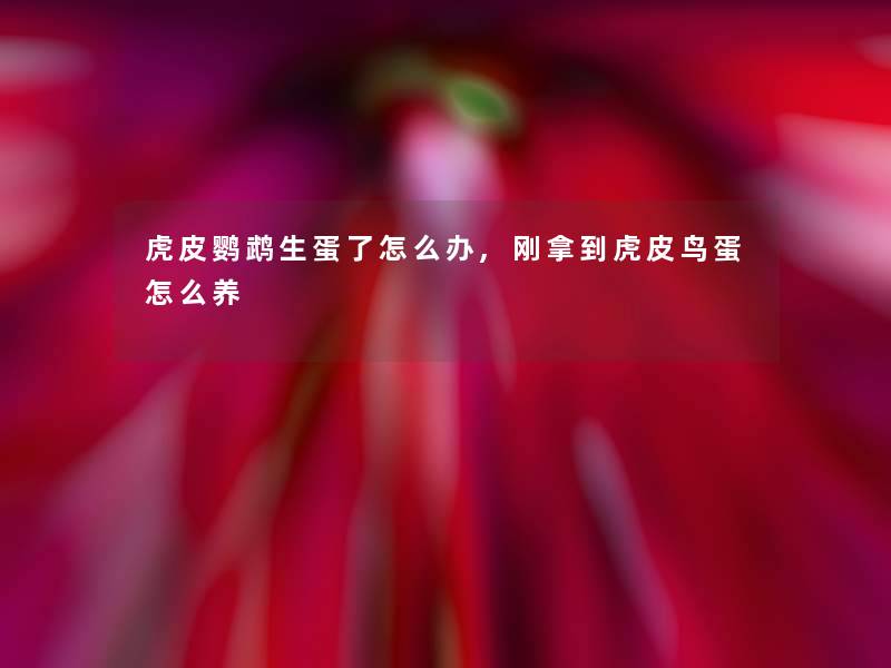 虎皮鹦鹉生蛋了怎么办,刚拿到虎皮鸟蛋怎么养 虎皮鹦鹉生蛋了怎么办,刚拿到虎皮鸟蛋怎么养