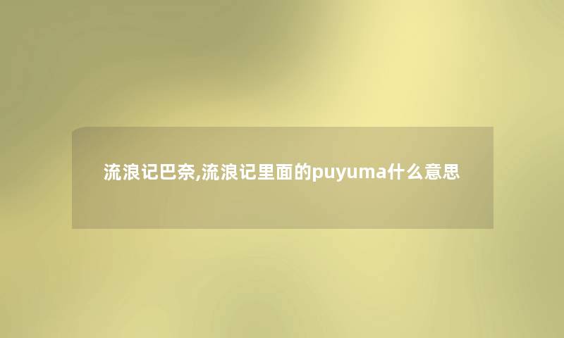 流浪记巴奈,流浪记里面的puyuma什么意思 流浪记巴奈,流浪记里面的puyuma什么意思