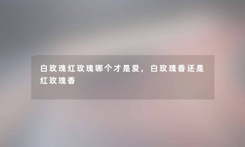 白玫瑰红玫瑰哪个才是爱,白玫瑰香还是红玫瑰香