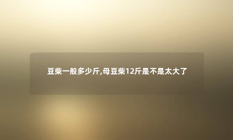 豆柴一般多少斤,母豆柴12斤是不是太大了 豆柴一般多少斤,母豆柴12斤是不是太大了