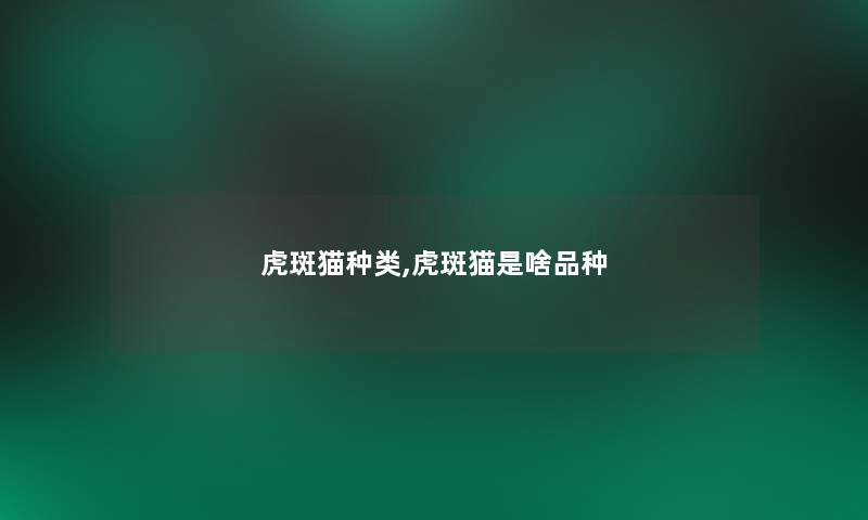 虎斑猫种类,虎斑猫是啥品种 虎斑猫种类,虎斑猫是啥品种