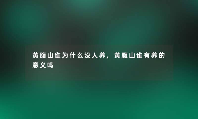 黄腹山雀为什么没人养,黄腹山雀有养的意义吗 黄腹山雀为什么没人养,黄腹山雀有养的意义吗