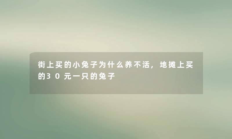 街上买的小兔子为什么养不活,地摊上买的30元一只的兔子 街上买的小兔子为什么养不活,地摊上买的30元一只的兔子