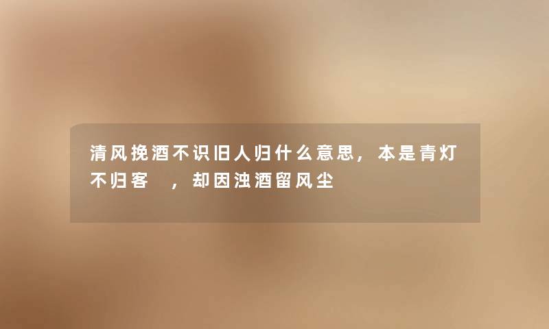 清风挽酒不识旧人归什么意思,本是青灯不归客 ,却因浊酒留风尘