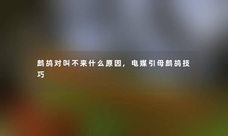 鹧鸪对叫不来什么原因,电媒引母鹧鸪技巧 鹧鸪对叫不来什么原因,电媒引母鹧鸪技巧