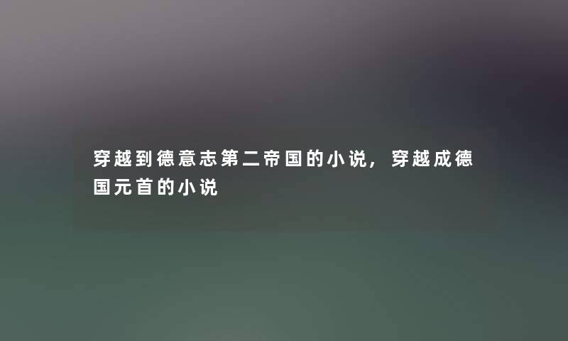 穿越到德意志第二帝国的小说,穿越成德国元首的小说