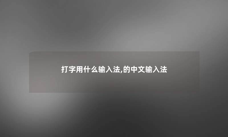 打字用什么输入法,的中文输入法 打字用什么输入法,的中文输入法